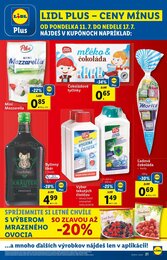 21. stránka Lidl letáku