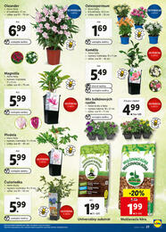 23. stránka Lidl letáku