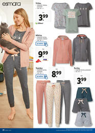 29. stránka Lidl letáku