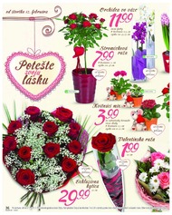 36. stránka Lidl letáku