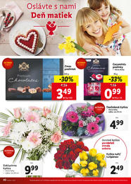 60. stránka Lidl letáku