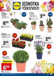 25. stránka Lidl letáku