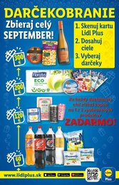 22. stránka Lidl letáku