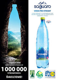 3. stránka Lidl letáku