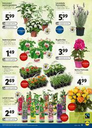 15. stránka Lidl letáku