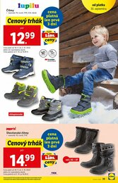 39. stránka Lidl letáku