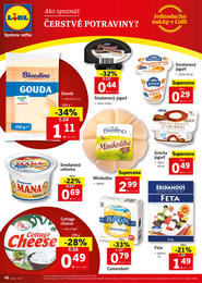 48. stránka Lidl letáku