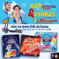33. stránka Lidl letáku