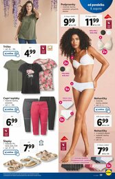 29. stránka Lidl letáku