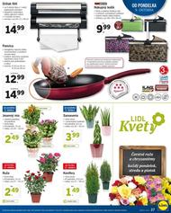 27. stránka Lidl letáku