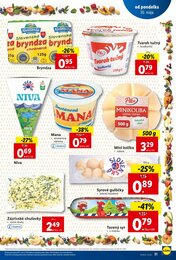 31. stránka Lidl letáku