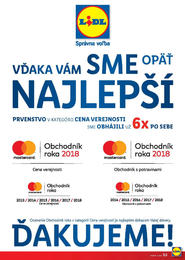 53. stránka Lidl letáku