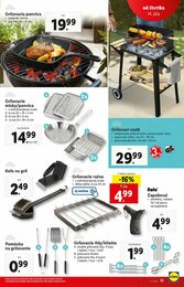 31. stránka Lidl letáku