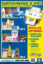 35. stránka Lidl letáku