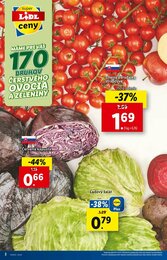 2. stránka Lidl letáku
