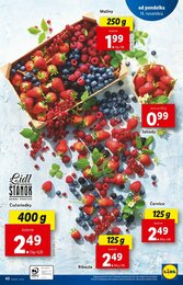 40. stránka Lidl letáku