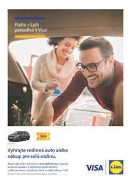 41. stránka Lidl letáku