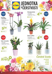 46. stránka Lidl letáku