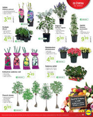 35. stránka Lidl letáku