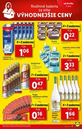 17. stránka Lidl letáku