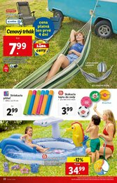 22. stránka Lidl letáku