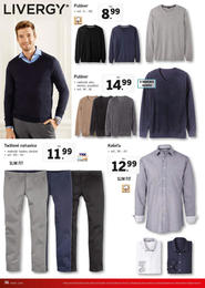 36. stránka Lidl letáku