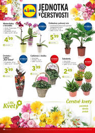 48. stránka Lidl letáku