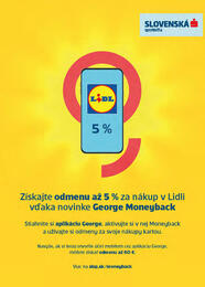 26. stránka Lidl letáku