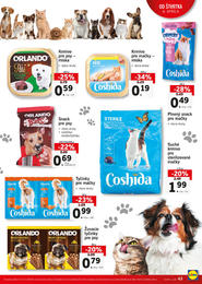 43. stránka Lidl letáku