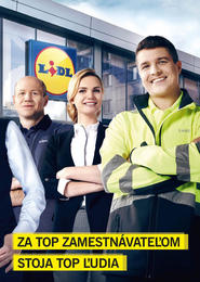 45. stránka Lidl letáku