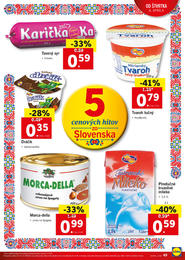 49. stránka Lidl letáku