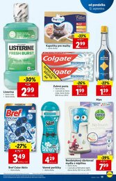 19. stránka Lidl letáku