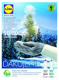 12. stránka Lidl letáku