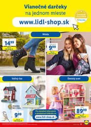 51. stránka Lidl letáku