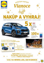 21. stránka Lidl letáku