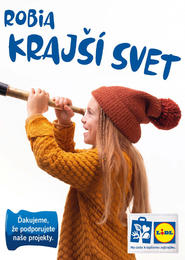 37. stránka Lidl letáku