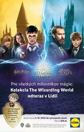 4. stránka Lidl letáku