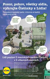 2. stránka Lidl letáku