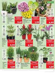 5. stránka Kaufland letáku