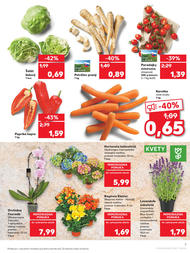 7. stránka Kaufland letáku