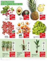 42. stránka Kaufland letáku