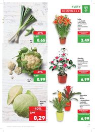 11. stránka Kaufland letáku