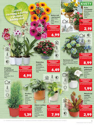 5. stránka Kaufland letáku