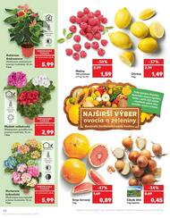 42. stránka Kaufland letáku