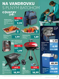 39. stránka Kaufland letáku