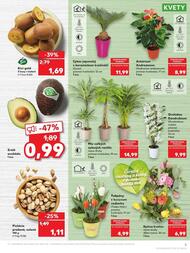 3. stránka Kaufland letáku
