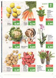 11. stránka Kaufland letáku