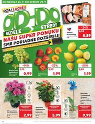 42. stránka Kaufland letáku