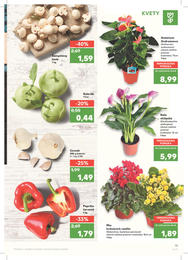 15. stránka Kaufland letáku