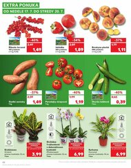 42. stránka Kaufland letáku